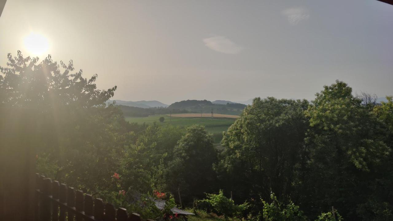 Homestay Celinka