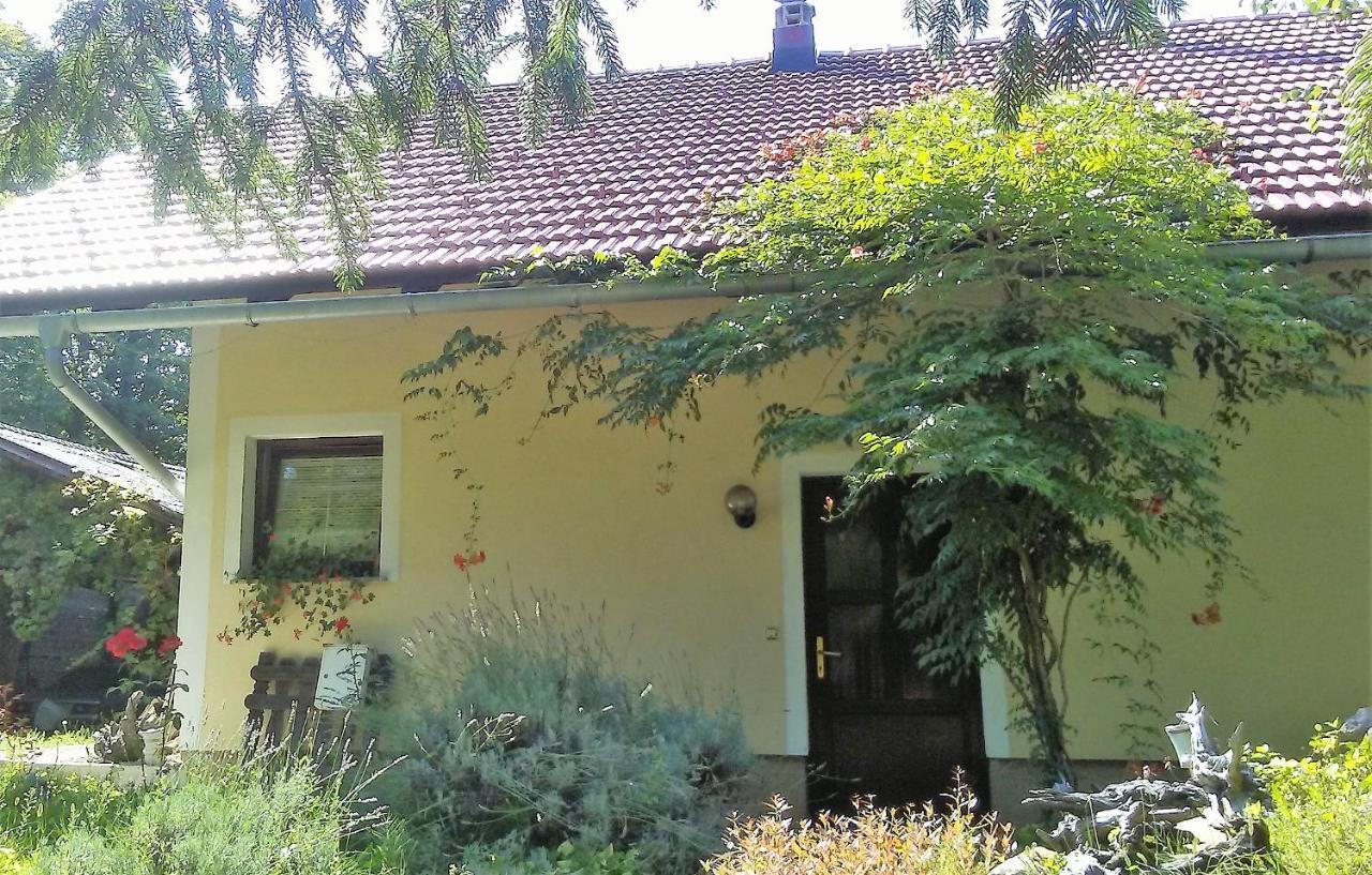 Celinka Raka